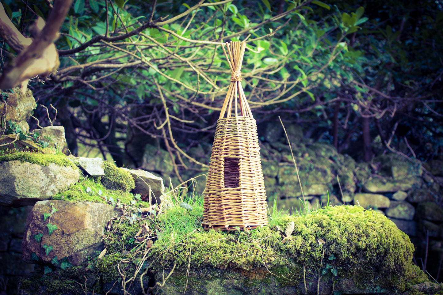 Willow Bird house / Fairy house workshop, Sat 27th June 2026, 12 - 3.30pm
