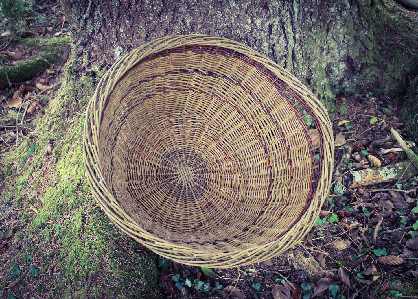 Large Willow basket with integrated handles