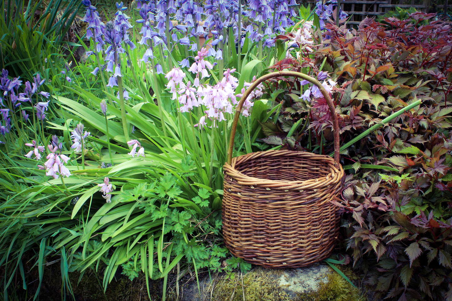 Berry basket workshop, Sat 28th March 2026, 10am - 5pm