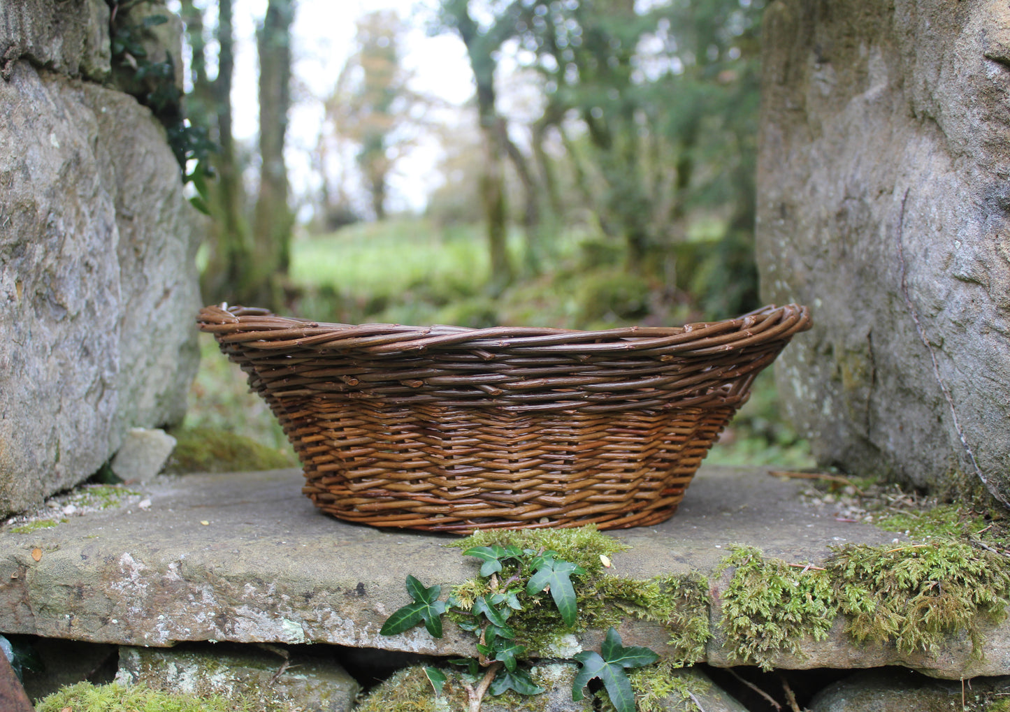 Bread basket workshop, Sat 28th February 2026, 10 am - 5 pm.