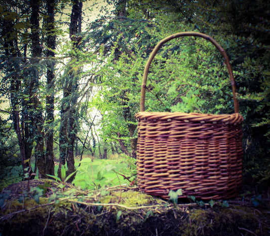 Berry basket workshop, Sat Oct 25th, 10 am-5 pm